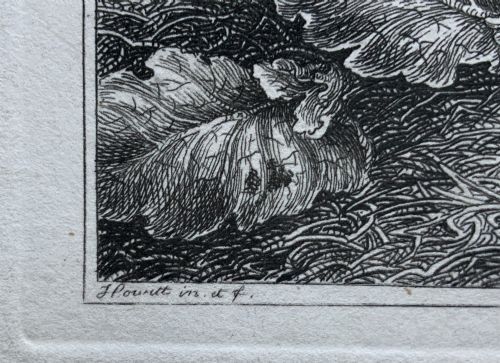 fig 7. An antique monochrome etching depicting a spotted pig outdoors, presented in a decorative mount and a black wooden frame with gold inner moulding.
