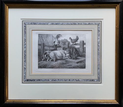 Samuel Howitt (1756–1822) Original Antique Etching – Farmyard Pigs No. 50