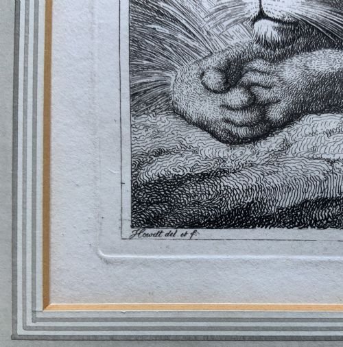 fig 5. A framed black and white print depicting a resting lioness outdoors set within a decorative multi-layered mount and dark wooden frame.