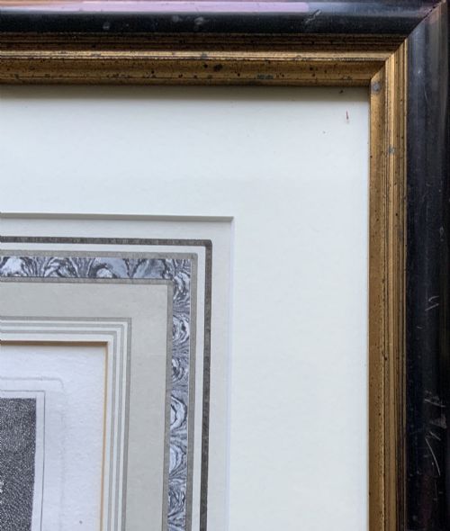 fig 7. A framed black and white print depicting a resting lioness outdoors set within a decorative multi-layered mount and dark wooden frame.