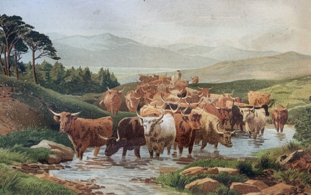 A nineteenth-century framed landscape painting depicting a herd of Highland cattle crossing a stream amidst rolling hills. View III