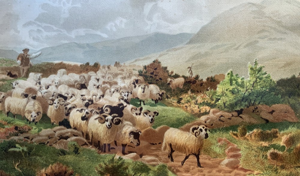 A 19th-century framed landscape painting depicting a shepherd guiding a large flock of sheep through a highland valley, housed in a moulded dark timber frame. View IV
