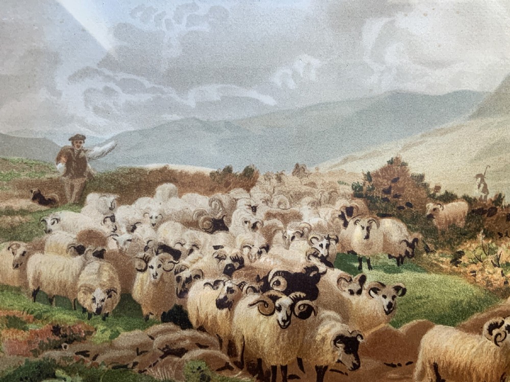 A 19th-century framed landscape painting depicting a shepherd guiding a large flock of sheep through a highland valley, housed in a moulded dark timber frame. View V
