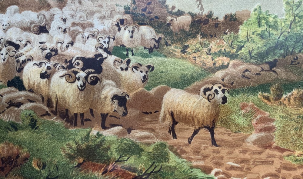 A 19th-century framed landscape painting depicting a shepherd guiding a large flock of sheep through a highland valley, housed in a moulded dark timber frame. View VI
