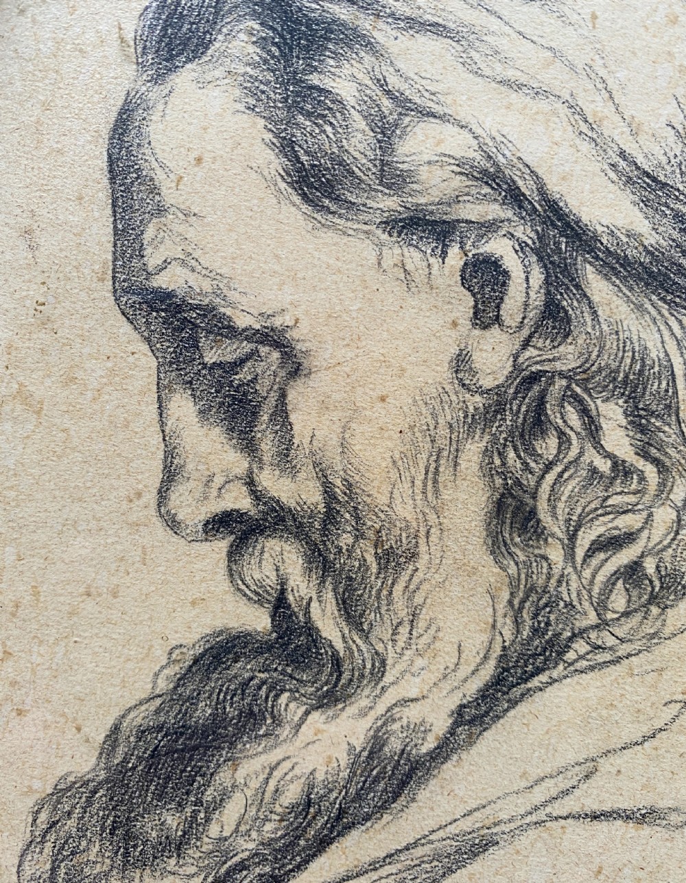 An oval charcoal profile drawing on paper depicting a bearded man with long hair, set inside a carved gold leaf Florentine frame. View VIII