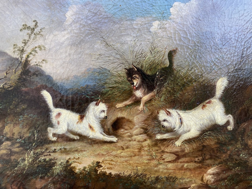 Original George Armfield (1808-1893) Terriers Hunting Oil Painting View III