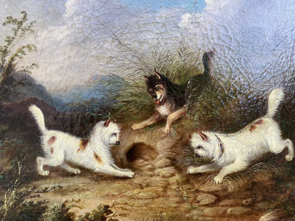 Original George Armfield (1808-1893) Terriers Hunting Oil Painting View IV
