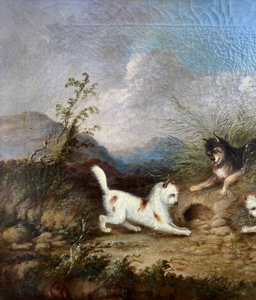 Original George Armfield (1808-1893) Terriers Hunting Oil Painting View V