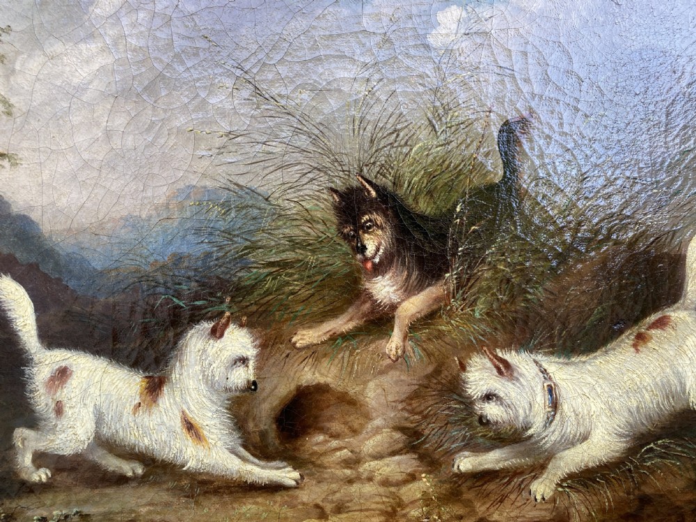 Original George Armfield (1808-1893) Terriers Hunting Oil Painting View VII