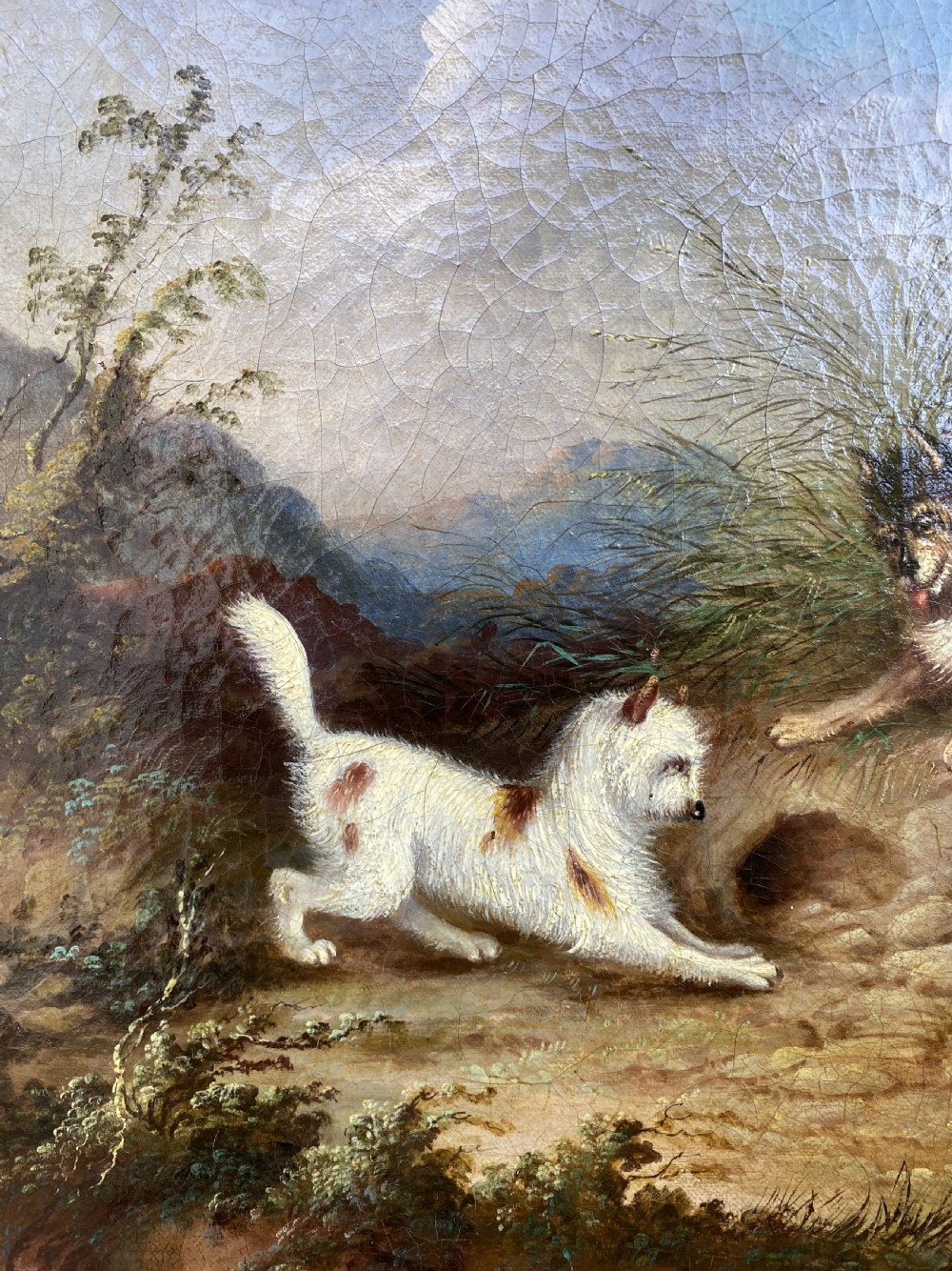 Original George Armfield (1808-1893) Terriers Hunting Oil Painting View VIII