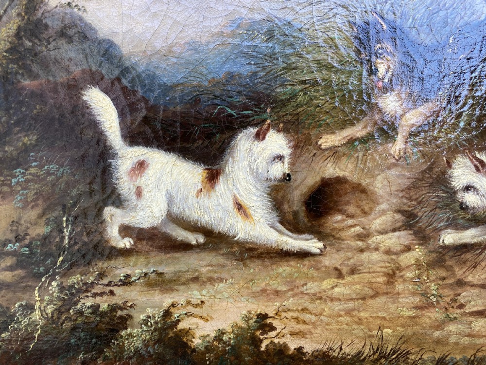 Original George Armfield (1808-1893) Terriers Hunting Oil Painting View IX