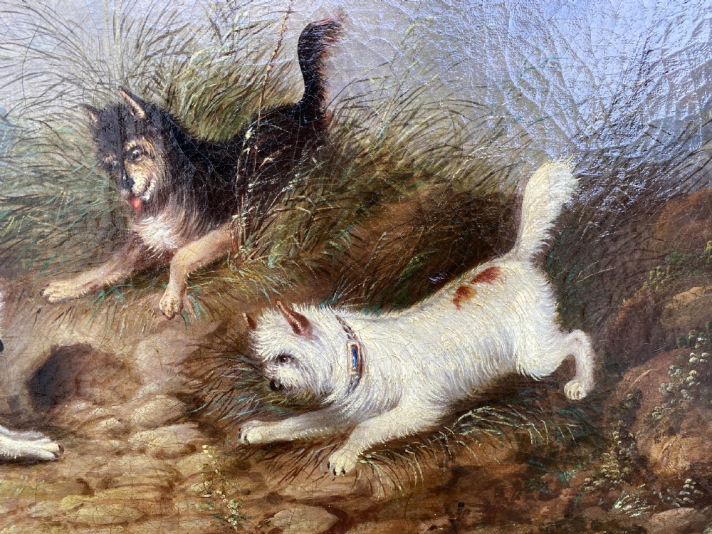 Original George Armfield (1808-1893) Terriers Hunting Oil Painting View X