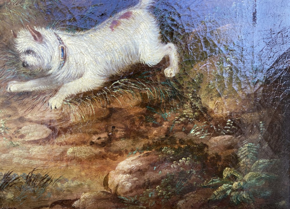 Original George Armfield (1808-1893) Terriers Hunting Oil Painting View XIII