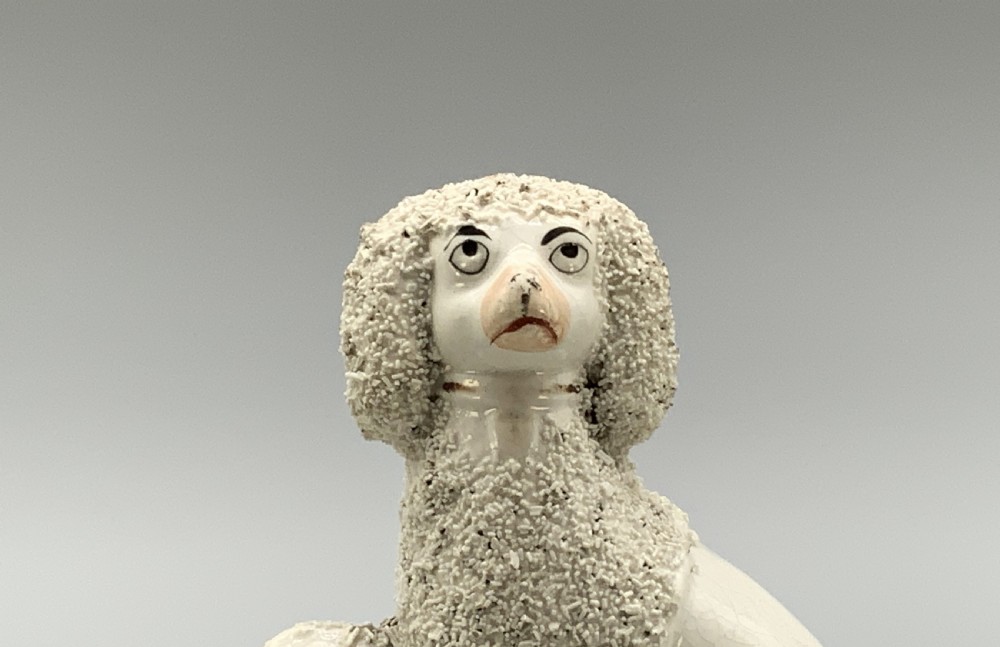 Circa 1910 Antique Staffordshire Pottery Poodle Family Figurine Statue
 View III