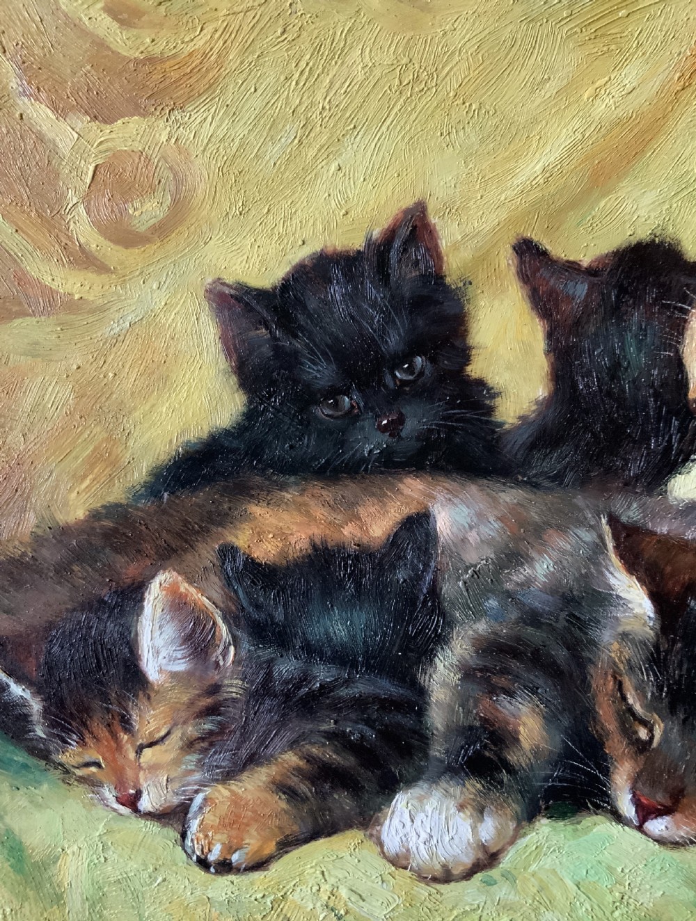An oil painting on a wooden panel depicting a mother cat and five kittens resting on a green fabric, housed in a wide gilt frame. View X