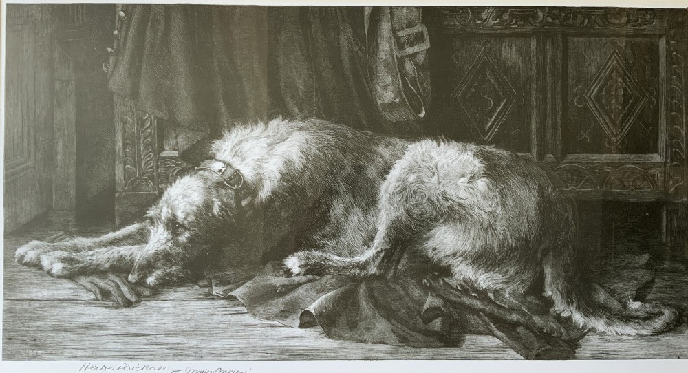 Herbert Thomas Dicksee (1862-1942) Signed Artist Etching Hunting Hound View III