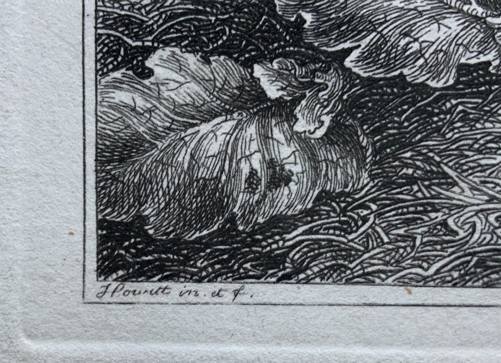An antique monochrome etching depicting a spotted pig outdoors, presented in a decorative mount and a black wooden frame with gold inner moulding. View VIII