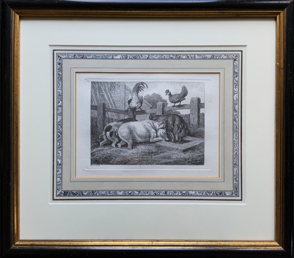 A framed antique monochrome etching depicting pigs feeding at a trough with poultry on a wooden fence, presented in a black and gilt frame.