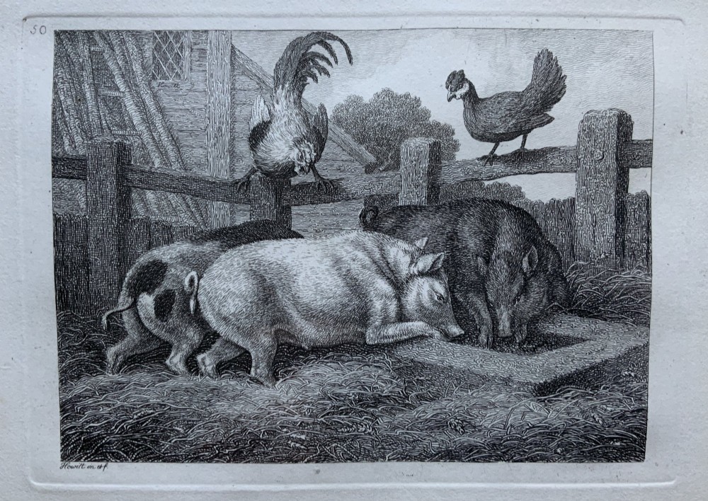 A framed antique monochrome etching depicting pigs feeding at a trough with poultry on a wooden fence, presented in a black and gilt frame. View II