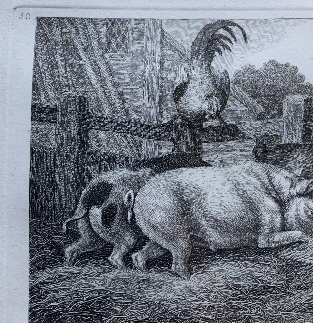 A framed antique monochrome etching depicting pigs feeding at a trough with poultry on a wooden fence, presented in a black and gilt frame. View V