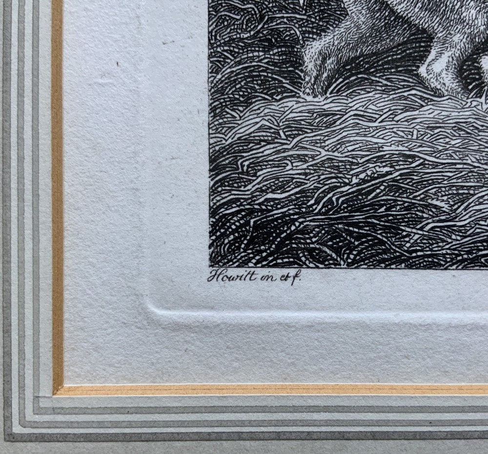 A framed antique monochrome etching depicting pigs feeding at a trough with poultry on a wooden fence, presented in a black and gilt frame. View VI