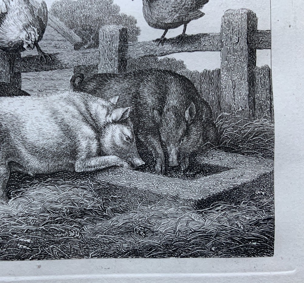 A framed antique monochrome etching depicting pigs feeding at a trough with poultry on a wooden fence, presented in a black and gilt frame. View VII