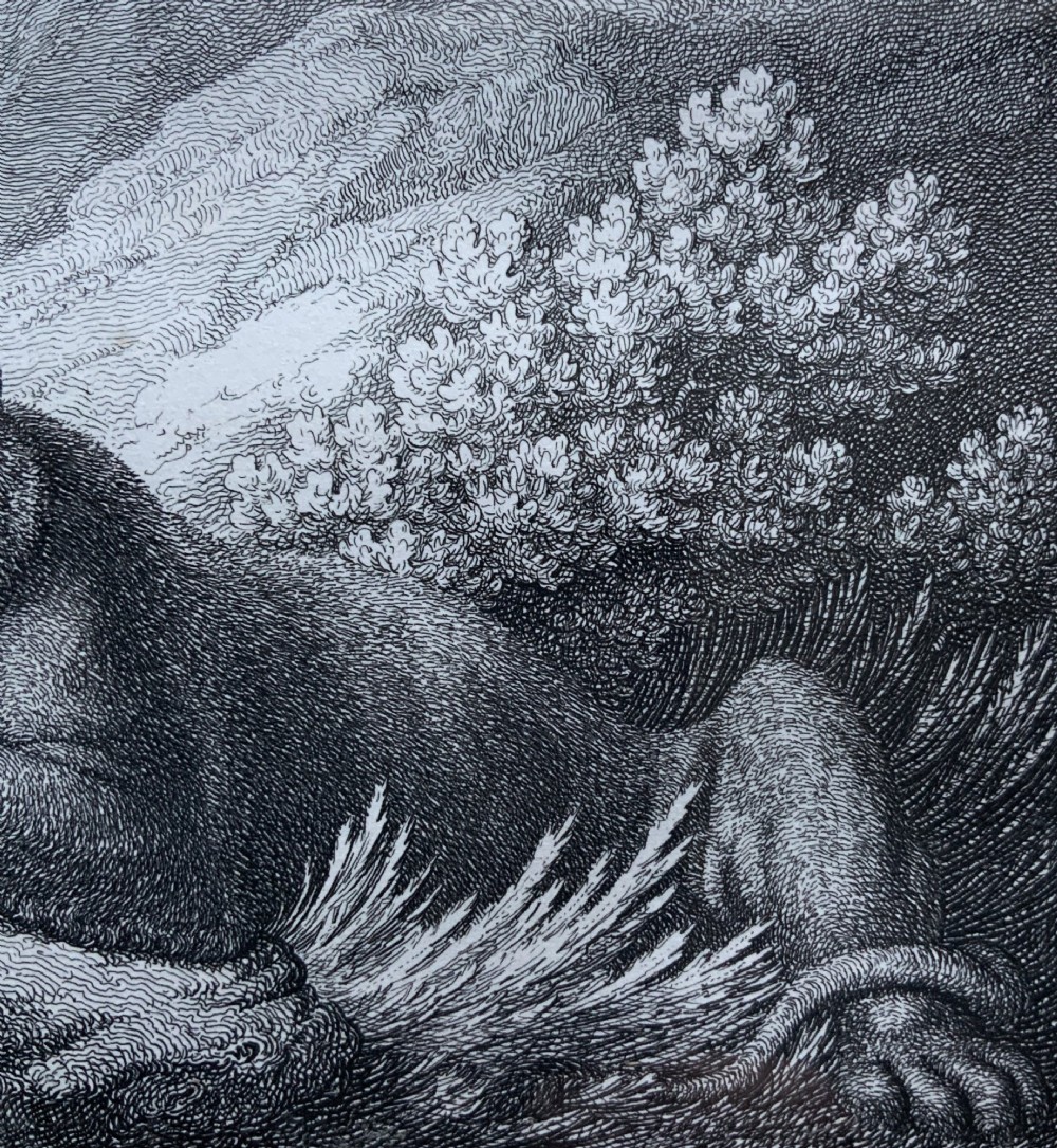 A framed black and white print depicting a resting lioness outdoors set within a decorative multi-layered mount and dark wooden frame. View V