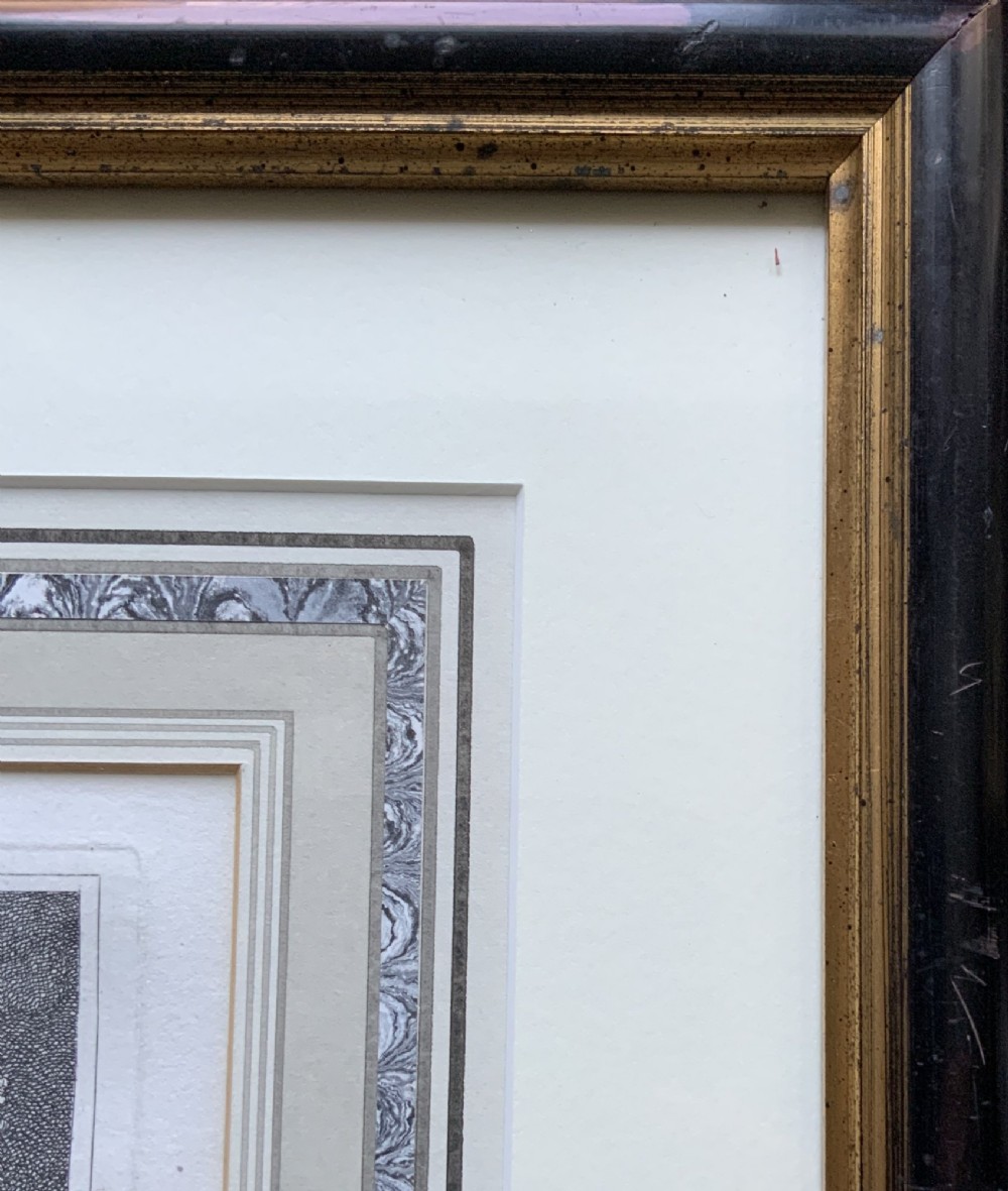 A framed black and white print depicting a resting lioness outdoors set within a decorative multi-layered mount and dark wooden frame. View VIII