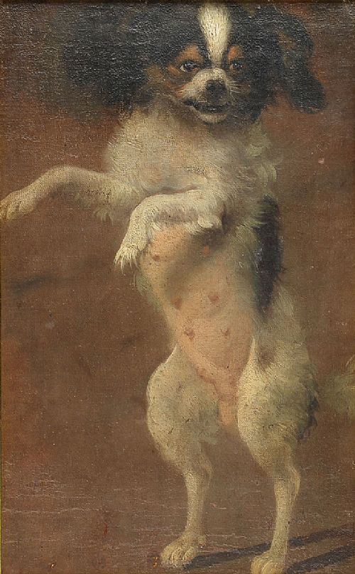 Attributed to Adriaen De Gryef 1657-1722 Portrait of a Cavalier King Charles Spaniel or a Phalene