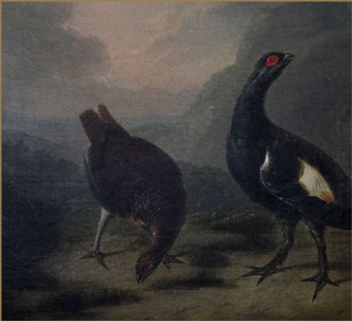 fig 1. An 18th-century oil painting depicting a black cock grouse and female greyhen standing on rocky terrain in a Highland landscape.