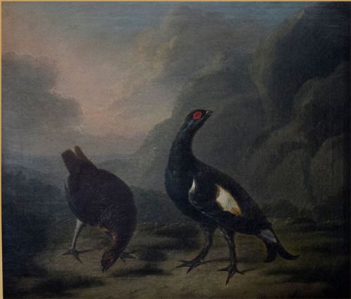 fig 2. An 18th-century oil painting depicting a black cock grouse and female greyhen standing on rocky terrain in a Highland landscape.