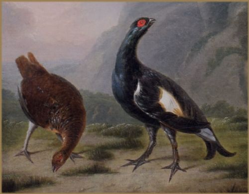 fig 3. An 18th-century oil painting depicting a black cock grouse and female greyhen standing on rocky terrain in a Highland landscape.
