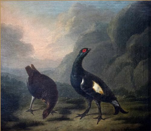 fig 7. An 18th-century oil painting depicting a black cock grouse and female greyhen standing on rocky terrain in a Highland landscape.