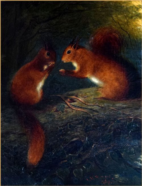 James Malcolm Stewart, 1829 - 1916
A Pair of Red Squirrels Feeding on a Branch