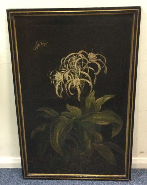 CIRCLE OF PIERREJOSEPH REDOUT 1759 1840A WHITE SPIDER LILY AND BUTTERFLYOIL ON CANVAS87 X 53 CM - ADDITIONAL PHOTO 1