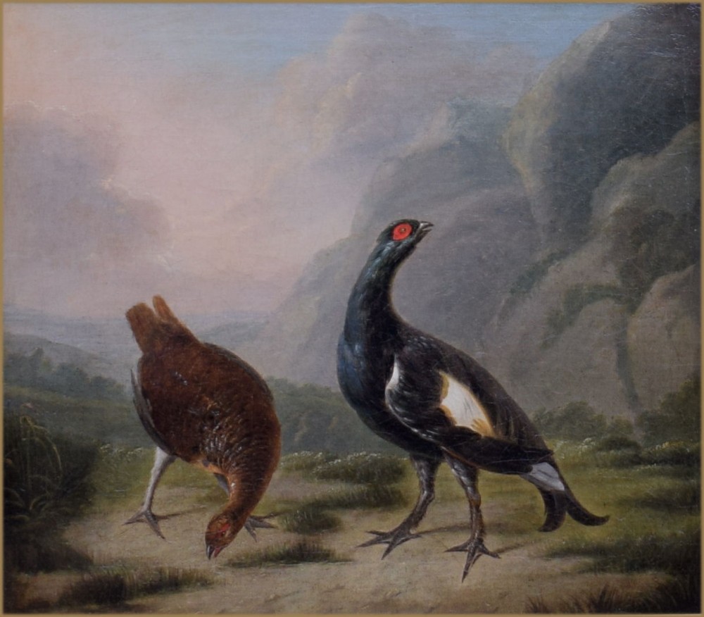 An 18th-century oil painting depicting a black cock grouse and female greyhen standing on rocky terrain in a Highland landscape.