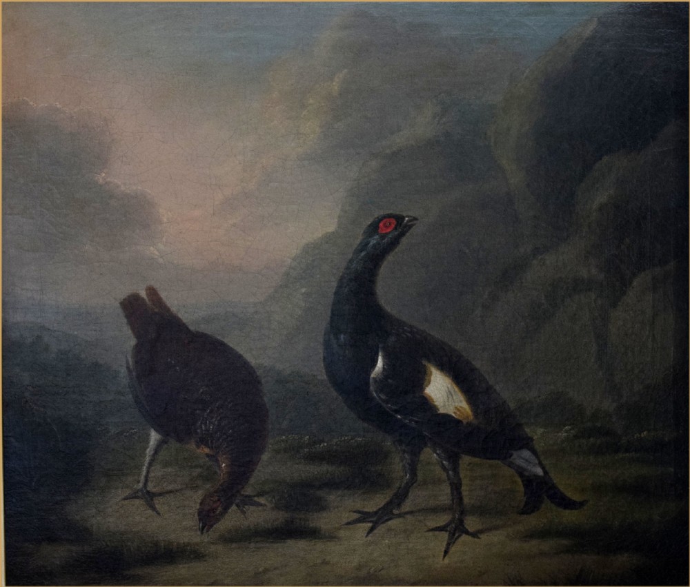 An 18th-century oil painting depicting a black cock grouse and female greyhen standing on rocky terrain in a Highland landscape. View III