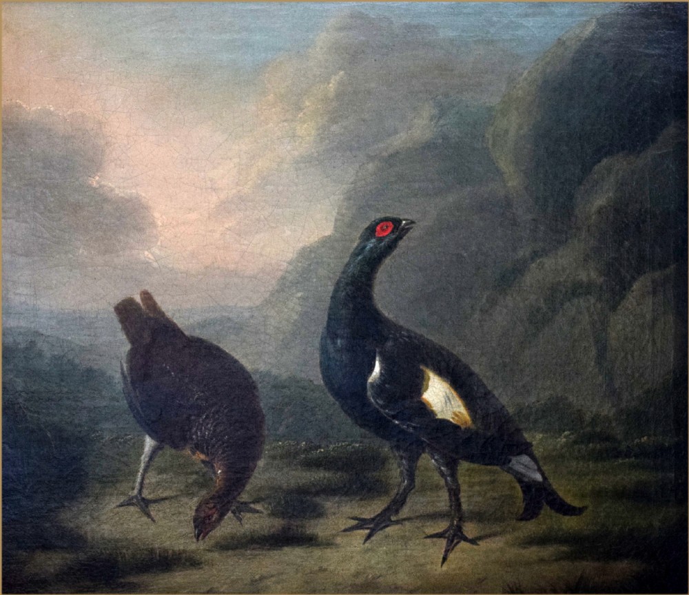 An 18th-century oil painting depicting a black cock grouse and female greyhen standing on rocky terrain in a Highland landscape. View VIII