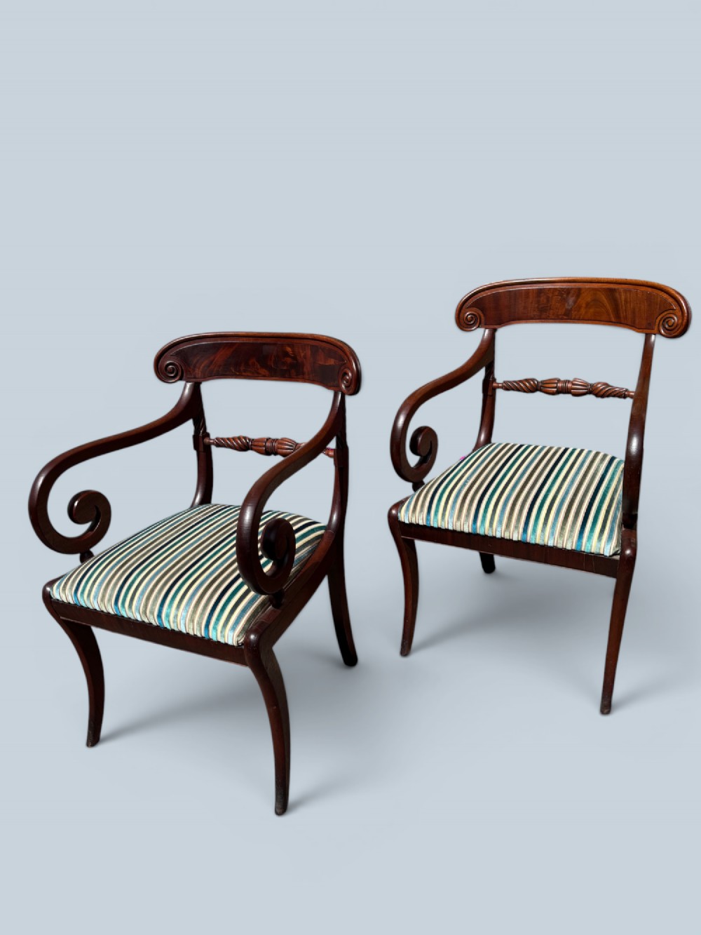 A pair of antique Regency mahogany armchairs featuring curved scroll arms, striped velvet seats, and sabre legs.