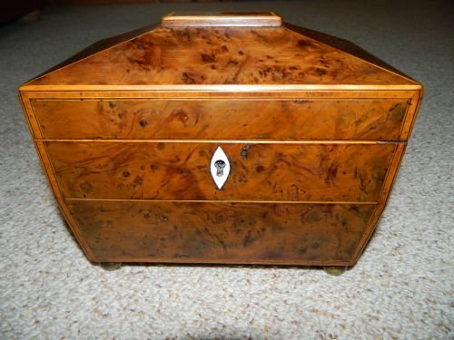 Yew Wood Tea Caddy