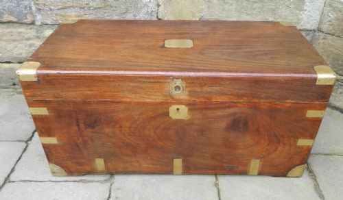 Brass Bound Camphor Wood Trunk