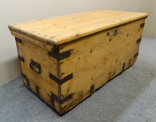 Large Pine Trunk