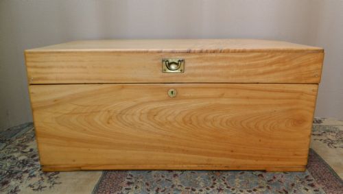 Camphor Wood Trunk