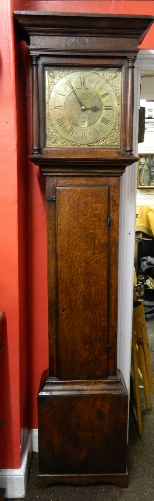 Small Early Oak Grandfather Clock  - Thomas Storer, Derby