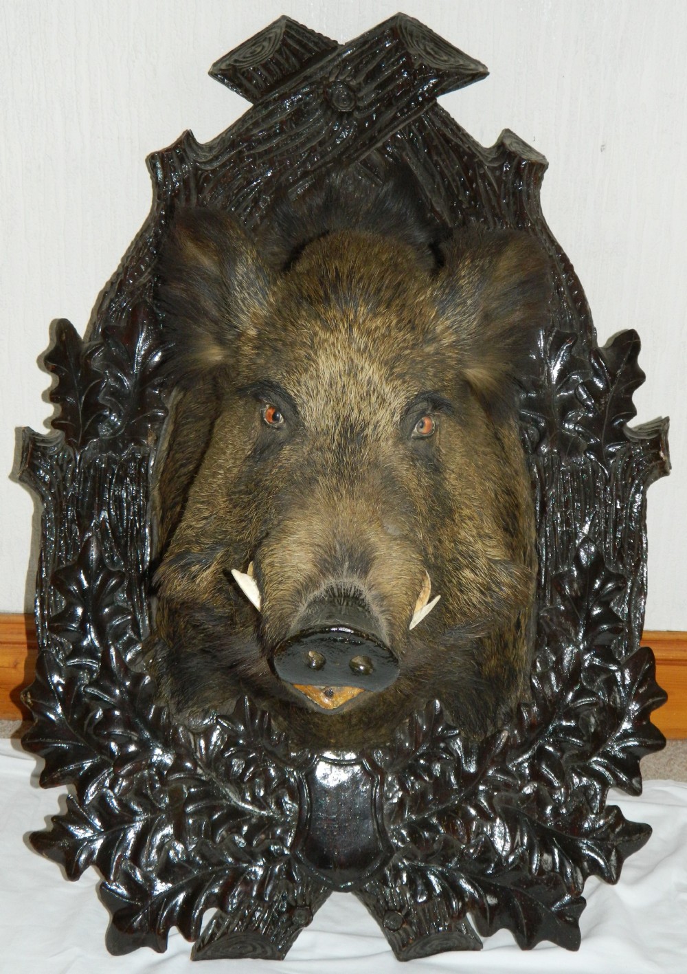 magnificent black forest boars head