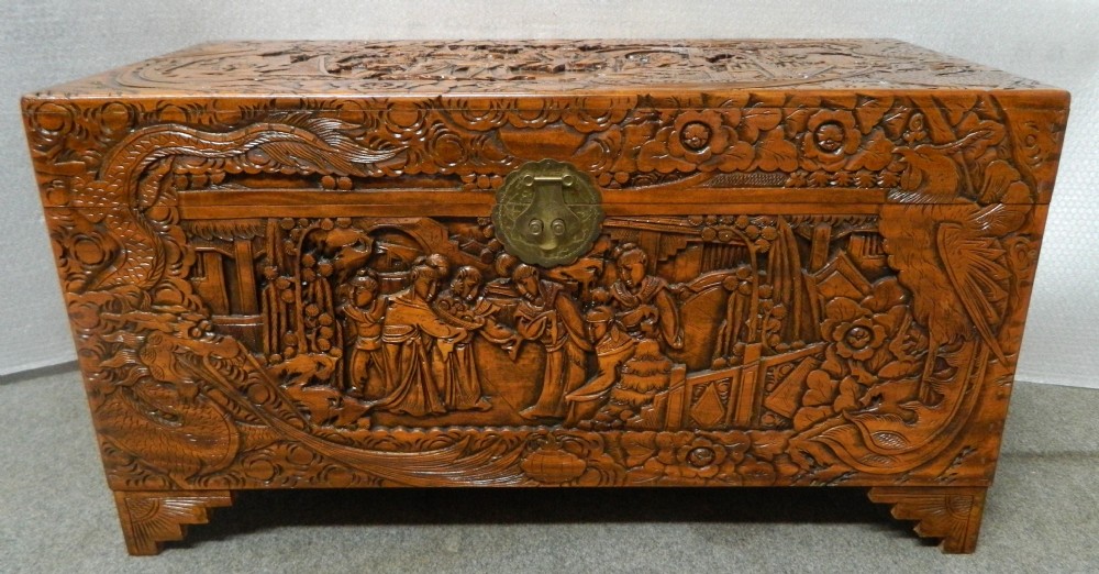 Chinese camphor wood trunk