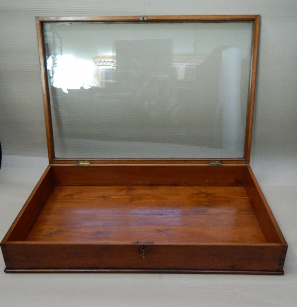 large display case View II