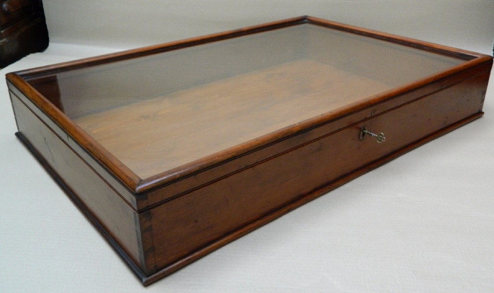 large display case View III