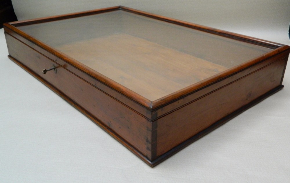large display case View IV