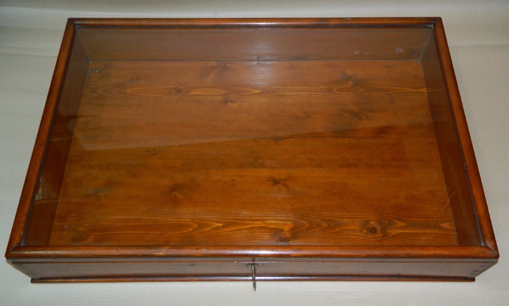 large display case View V